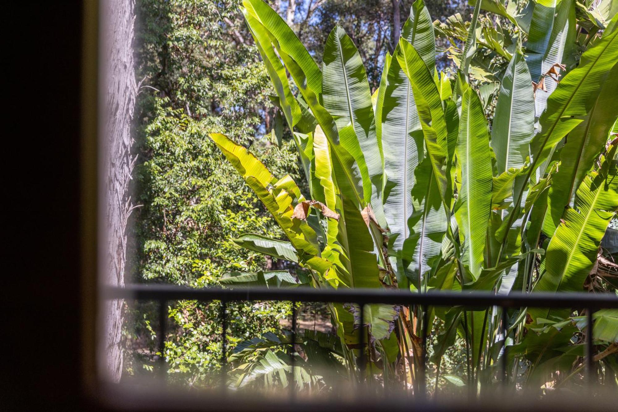 Sanctuary Resort Motor Inn Coffs Harbour Ngoại thất bức ảnh